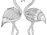 Coloriage Adulte Flamant Rose Craft Haven Flamingo Free Coloring Page