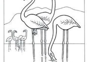 Coloriage Adulte Flamant Rose Craft Haven Flamingo Free Coloring Page
