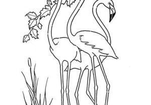 Coloriage Adulte Flamant Rose épinglé Par Danuta Sur Wzory Do Haftu Malowania I Inne