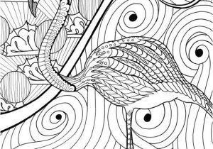 Coloriage Adulte Flamant Rose Les 237 Meilleures Images Du Tableau Coloring Swan Flamingo Sur