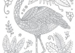 Coloriage Adulte Flamant Rose Les 237 Meilleures Images Du Tableau Coloring Swan Flamingo Sur