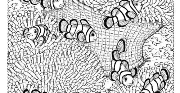 Coloriage Adulte Fond Marin épinglé Par Crafty Closet Sur Color Pages Pinterest