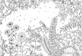Coloriage Adulte Paysage A Imprimer Secret Garden Johanna Basford Des Motifs Superbes Qui