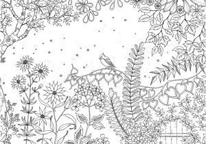Coloriage Adulte Paysage A Imprimer Secret Garden Johanna Basford Des Motifs Superbes Qui
