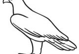 Coloriage Aigle A Imprimer Gratuit Les 12 Meilleures Images De Aigle Archerie