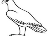 Coloriage Aigle A Imprimer Gratuit Les 12 Meilleures Images De Aigle Archerie