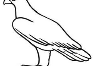 Coloriage Aigle A Imprimer Gratuit Les 12 Meilleures Images De Aigle Archerie