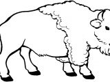 Coloriage Amerique A Imprimer Coloriage Bison A Imprimer 6