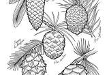 Coloriage Ananas Facile 669 Best Coloriages Dessin Images On Pinterest