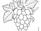 Coloriage Ananas Gratuit Grapes with Leaves Fruits and Berries Coloring Pages for Kids