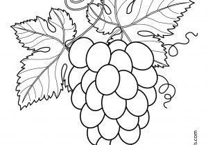 Coloriage Ananas Gratuit Grapes with Leaves Fruits and Berries Coloring Pages for Kids