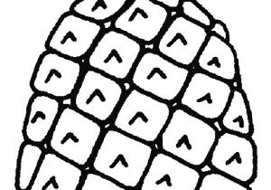 Coloriage Ananas Rigolo Coloriage Ananas Simple Dessin Gratuit   Imprimer