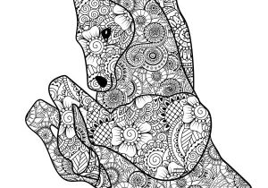 Coloriage Animal Crossing 58 Best Coloriage Chevaux Images On Pinterest