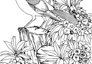 Coloriage Animaux à Imprimer Gratuit Coloriage Animaux Imprimer Gratuit