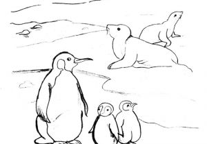 Coloriage Animaux Banquise Activites Coloriages Animaux
