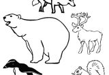 Coloriage Animaux Banquise Animaux Des P´les