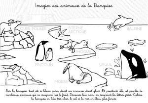 Coloriage Animaux Banquise Coloriage   Imprimer Imagier Des Animaux De La Banquise