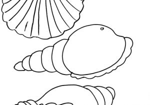 Coloriage Animaux Bord De Mer Jeux Et Coloriages De La Mer