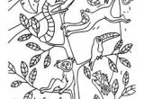 Coloriage Animaux Bord De Mer Les 12 Meilleures Images Du Tableau Coloriage Animaux Gratuit