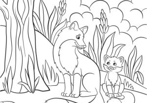 Coloriage Animaux Bord De Mer Un Coloriage De Renard Pour Petits Rusés