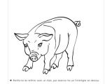 Coloriage Animaux De Compagnie Pdf Dessin   Colorier Animaux De La Ferme   Imprimer Les