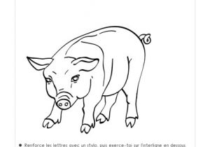Coloriage Animaux De Compagnie Pdf Dessin   Colorier Animaux De La Ferme   Imprimer Les