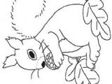 Coloriage Animaux De La forêt à Imprimer Free Coloring Pages Of Baby Birds In Nest