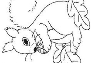 Coloriage Animaux De La forêt à Imprimer Free Coloring Pages Of Baby Birds In Nest