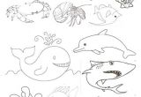 Coloriage Animaux De La Mer En Ligne Coloriage Animaux Marins