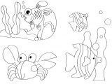 Coloriage Animaux De La Mer En Ligne Coloriage Animaux Marins