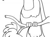 Coloriage Animaux Du Printemps Coloriage De Perroquet Sur Coloriages Enfants