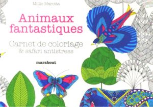 Coloriage Animaux Fantastiques Marabout Carnet De Coloriage