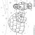 Coloriage Animaux Polaires Imprimer Coloriage Dessin Igloo Et Esquimau
