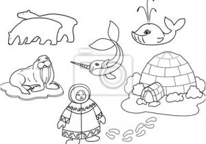 Coloriage Animaux Polaires Imprimer Coloriage Esquimau   Imprimer