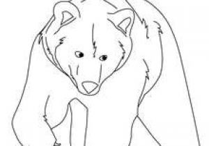 Coloriage Animaux Polaires Imprimer Dessin Dours Polaire Imprimer