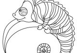 Coloriage Animaux Sauvages à Imprimer 84 Best Coloriages Animaux Sauvages Images On Pinterest