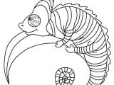 Coloriage Animaux Sauvages à Imprimer 84 Best Coloriages Animaux Sauvages Images On Pinterest