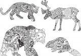 Coloriage Animaux Sauvages Difficile Coloriage Anti Stress Animaux Tigre