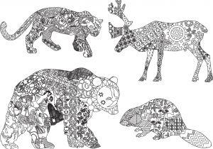 Coloriage Animaux Sauvages Difficile Coloriage Anti Stress Animaux Tigre
