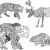 Coloriage Animaux Sauvages Difficile Coloriage Anti Stress Animaux Tigre