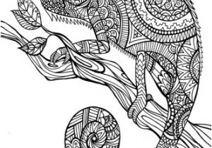 Coloriage Animaux Sauvages Difficile Les Mandalas D Animaux Envie Du Jour