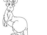 Coloriage Animaux Trop Mignon Gratuit Coloriage D Un Kangourou De Face  Imprimer Gratuitement Ou