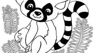 Coloriage Animaux Trop Mignon Gratuit Coloriage D Un Mignon Bébé Lémurien