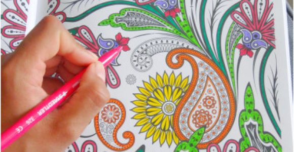 Coloriage Anti Stress Blog 100 Coloriages Anti Stress Ou Le Livre Qu’il Me Fallait