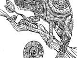 Coloriage Anti Stress Gratuit En Ligne Imprimer Mandala Animaux Dessin A Imprimer Gratuit