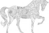 Coloriage Anti Stress Gratuit En Ligne Imprimer Mandala Animaux Dessin A Imprimer Gratuit