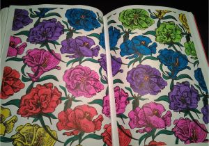 Coloriage Anti Stress Hachette Luki Color Art Thérapie Coloriage Pour Adulte Mes Coloriages