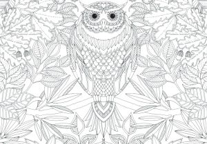 Coloriage Anti Stress Jardin Extraordinaire Coloriage Anti Stress Jardin Extraordinaire Schön Coloriage