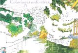 Coloriage Anti Stress Larousse Paysages Zen Coloriages Anti Stress