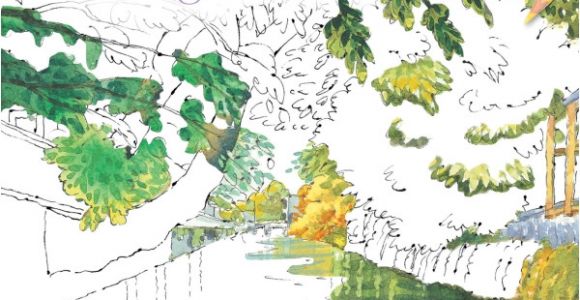 Coloriage Anti Stress Larousse Paysages Zen Coloriages Anti Stress